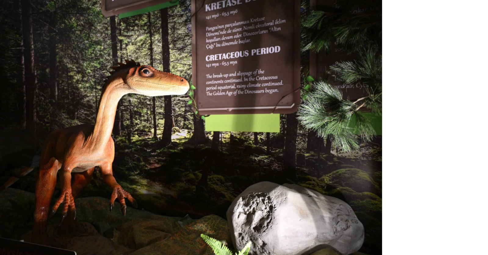 Immersive museum exhibit environment built by Alice Scenic Studios