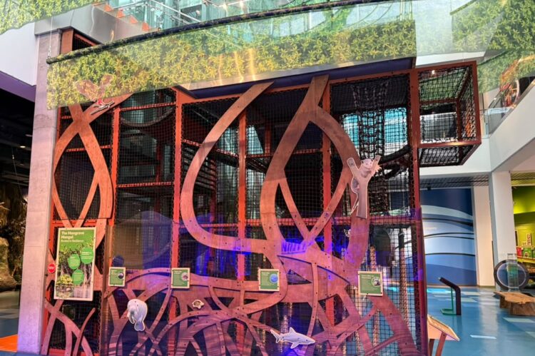 Indoor playground climbing structure: red metal framework with mesh panels, colorful lighting, and animal cutouts.