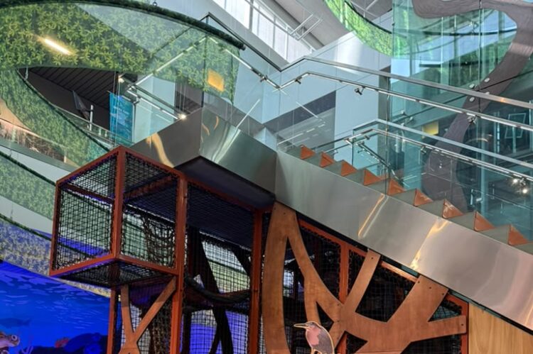 Indoor science museum exhibit featuring a wooden rope-climbing structure and colorful posters, under a glass escalator.