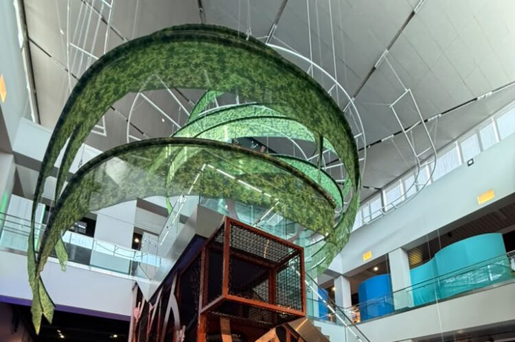 Indoor science/museum atrium with a wooden, lattice climbing structure and large green leaf-like sculptures hanging above.