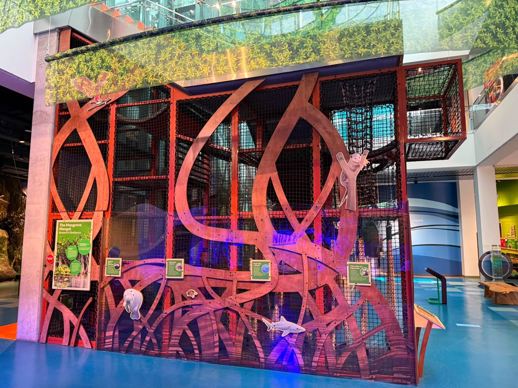 museum exhibit design